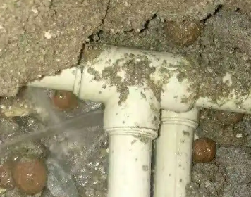 庆安测漏水多少钱