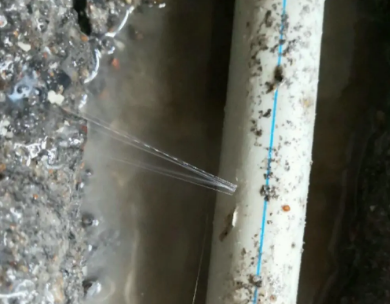 庆安测漏水哪家好