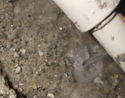 庆安测漏水电话号码