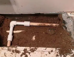 庆安测漏水哪家好