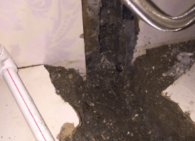 庆安卫生间测漏水哪家好