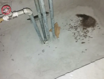 庆安卫生间测漏水价格明细