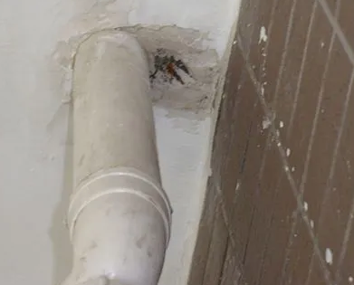 庆安漏水检测哪家好